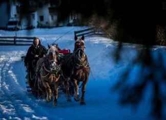 Natale in Valle Aurina, quali sono le esperienze da fare con i bambini natale in valle aurina