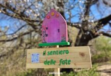 Il sentiero delle Fate: sulle tracce del ciliegio secolare sentieri di montagna per bambini
