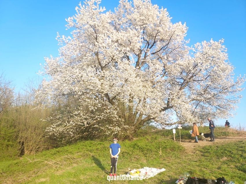 sentieri di montagna per bambini