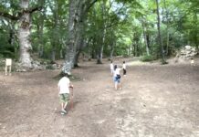 Bosco di Sant’Antonio: la faggeta secolare vicino Pescocostanzo bosco di sant'antonio percorsi