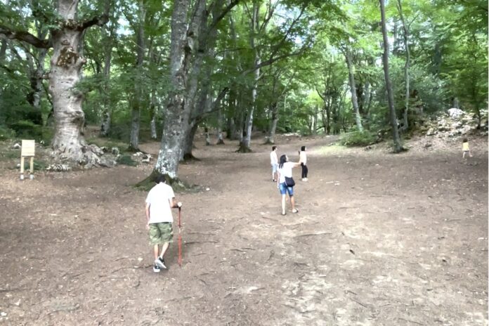 bosco di sant'antonio percorsi