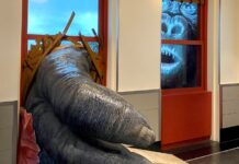 L’Empire State Building: la più bella vista di New York Empire State Building