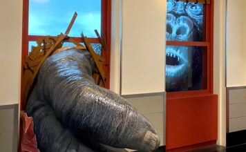 L’Empire State Building: la più bella vista di New York Empire State Building