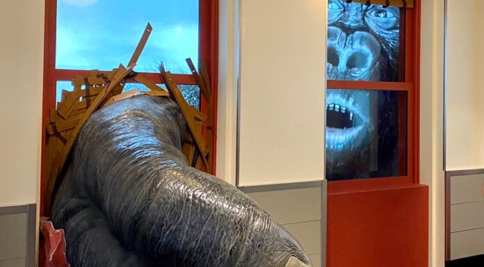 L’Empire State Building: la più bella vista di New York Empire State Building