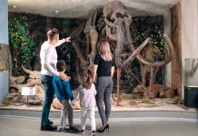 Musei per bambini in Italia meseo per bambini