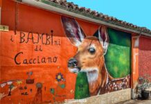 Braccano e Cacciano, i paesi dei murales nelle Marche cacciano murales
