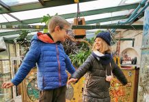 Budapest, cosa vedere in quattro giorni con i bambini budapest con bambini