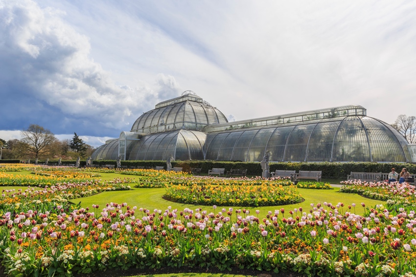 kew garden londra