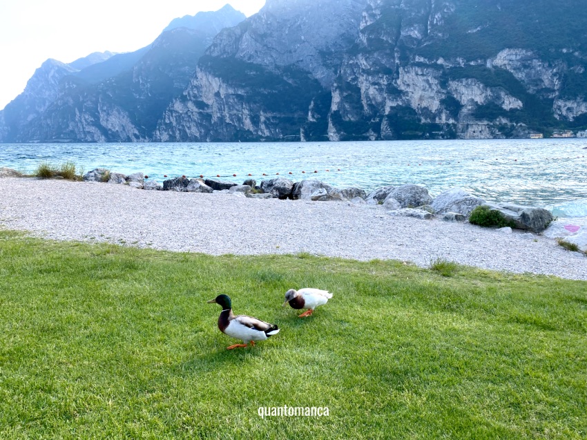 riva del garda cosa vedere