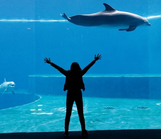 Visitare Genova con i bambini: 3 esperienze indimenticabili genova per bambini