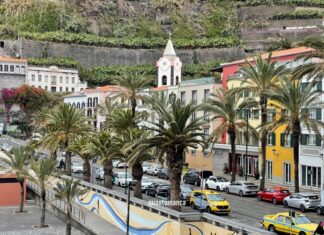 Dove andare in autunno: 8 mete calde a due passi dall’Italia cose da vedere a madeira