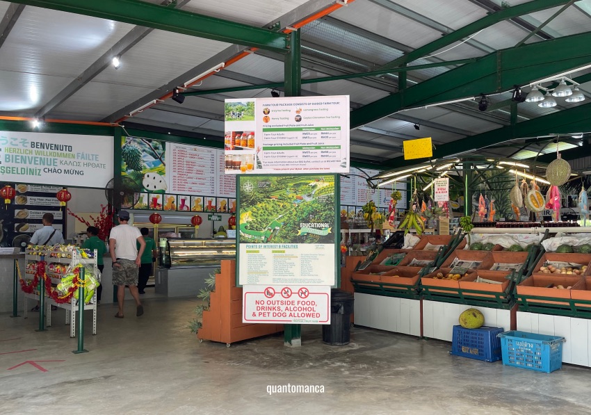 malesia cosa vedere