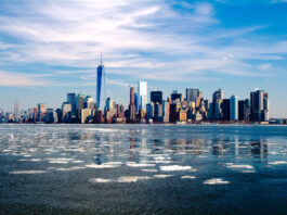New York con i bambini: cosa vedere per sorprenderli new york per bambini