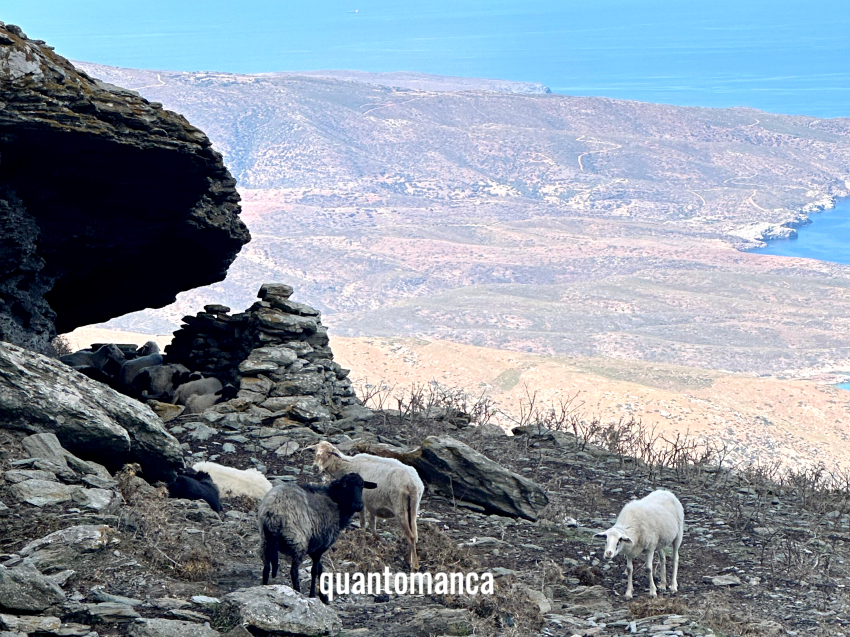 andros grecia