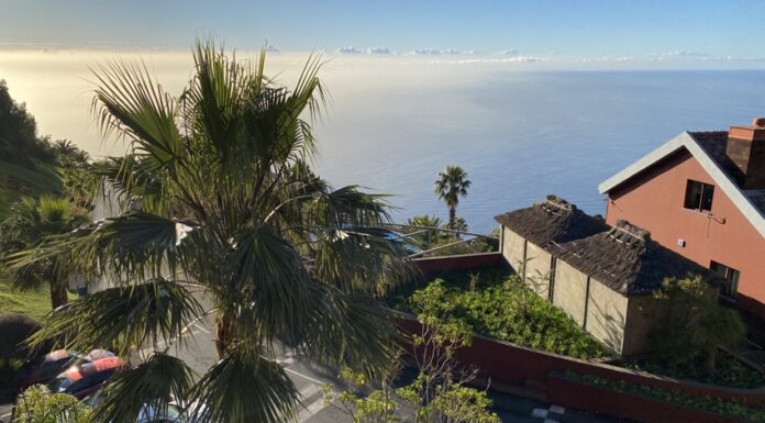 Noleggiare un’auto a Madeira: tutto quello che devi sapere
