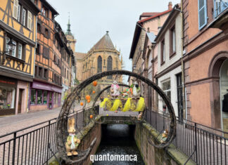 Cosa vedere in Alsazia: i paesi più belli da visitare con la famiglia cosa vedere in alsazia