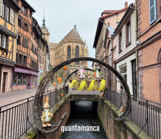 Cosa vedere in Alsazia: i paesi più belli da visitare con la famiglia cosa vedere in alsazia