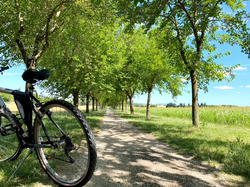 uno dei percorsi per biciclette all' abbazia di fiastra