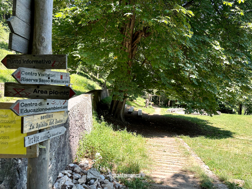 sentiero nel bosco