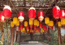 Viaggio nella Cina del sud: 28 giorni tra futuro, risaie e tropici itinerario cina