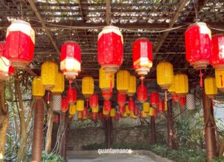 Viaggio nella Cina del sud: 28 giorni tra futuro, risaie e tropici itinerario cina