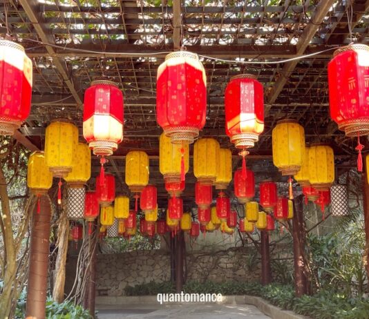 Viaggio nella Cina del sud: 28 giorni tra futuro, risaie e tropici itinerario cina
