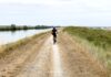 Escursione in bici nelle Valli di Comacchio: la ciclabile tra saline e fenicotteri rosa in bicicletta lungo le valli di comacchio in emilia romagna