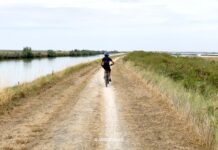 Escursione in bici nelle Valli di Comacchio: la ciclabile tra saline e fenicotteri rosa in bicicletta lungo le valli di comacchio in emilia romagna