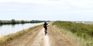 Escursione in bici nelle Valli di Comacchio: la ciclabile tra saline e fenicotteri rosa in bicicletta lungo le valli di comacchio in emilia romagna