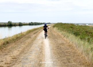 Escursione in bici nelle Valli di Comacchio: la ciclabile tra saline e fenicotteri rosa in bicicletta lungo le valli di comacchio in emilia romagna