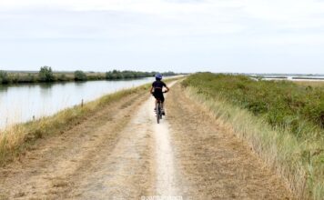 Escursione in bici nelle Valli di Comacchio: la ciclabile tra saline e fenicotteri rosa in bicicletta lungo le valli di comacchio in emilia romagna