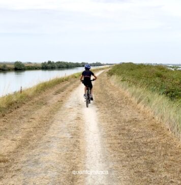 Escursione in bici nelle Valli di Comacchio: la ciclabile tra saline e fenicotteri rosa in bicicletta lungo le valli di comacchio in emilia romagna