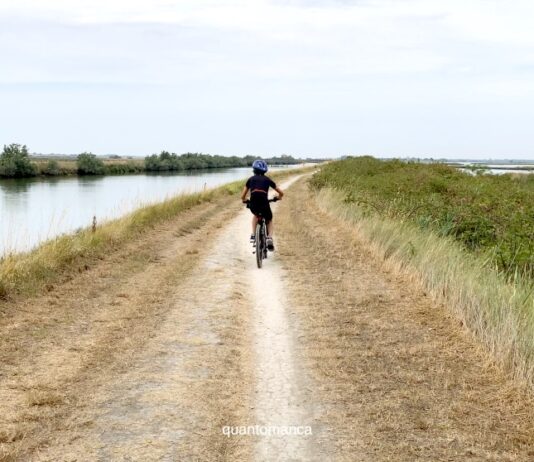 Escursione in bici nelle Valli di Comacchio: la ciclabile tra saline e fenicotteri rosa in bicicletta lungo le valli di comacchio in emilia romagna