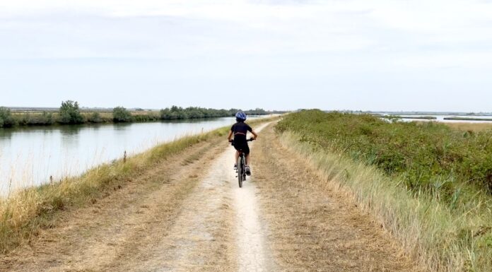 Escursione in bici nelle Valli di Comacchio: la ciclabile tra saline e fenicotteri rosa in bicicletta lungo le valli di comacchio in emilia romagna