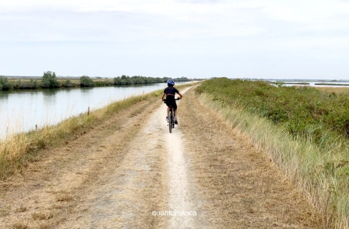 in bicicletta lungo le valli di comacchio in emilia romagna