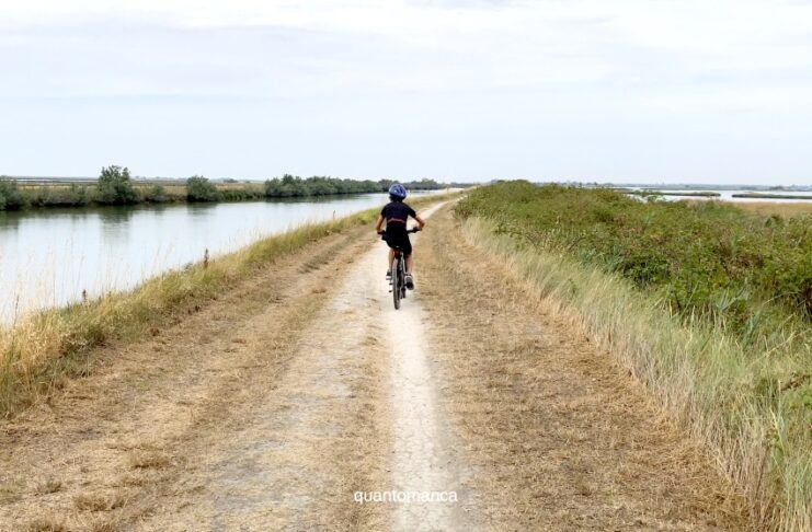 Escursione in bici nelle Valli di Comacchio: la ciclabile tra saline e fenicotteri rosa in bicicletta lungo le valli di comacchio in emilia romagna
