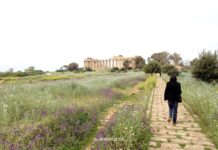 Selinunte: cosa vedere nel parco archeologico, le Cave di Cusa e i dintorni ingresso del parco archeologico di selinunte il più grande d' europa