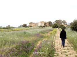 Selinunte: cosa vedere nel parco archeologico, le Cave di Cusa e i dintorni ingresso del parco archeologico di selinunte il più grande d' europa