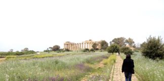 Selinunte: cosa vedere nel parco archeologico, le Cave di Cusa e i dintorni ingresso del parco archeologico di selinunte il più grande d' europa