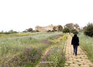 Selinunte: cosa vedere nel parco archeologico, le Cave di Cusa e i dintorni ingresso del parco archeologico di selinunte il più grande d' europa