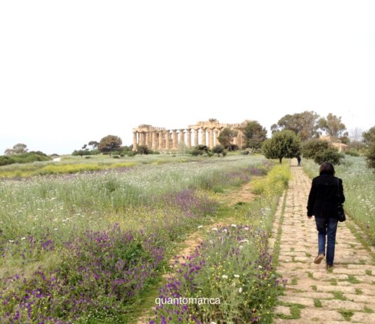 Selinunte: cosa vedere nel parco archeologico, le Cave di Cusa e i dintorni ingresso del parco archeologico di selinunte il più grande d' europa