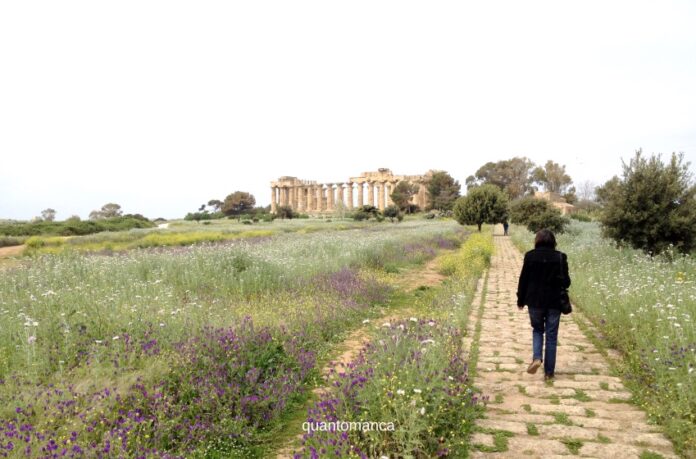 ingresso del parco archeologico di selinunte il più grande d' europa