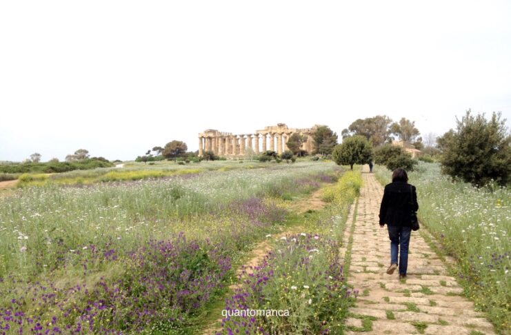 Selinunte: cosa vedere nel parco archeologico, le Cave di Cusa e i dintorni ingresso del parco archeologico di selinunte il più grande d' europa