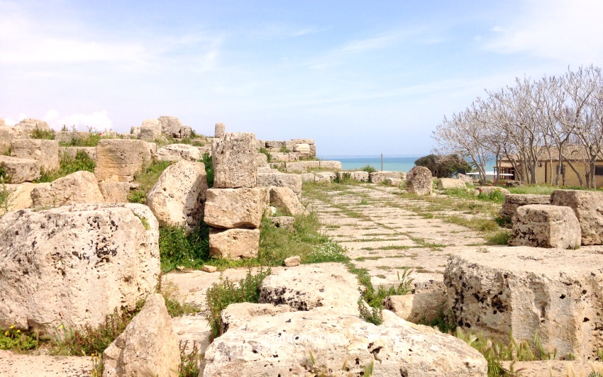vista mare dal parco archeologico di selinunte sicilia