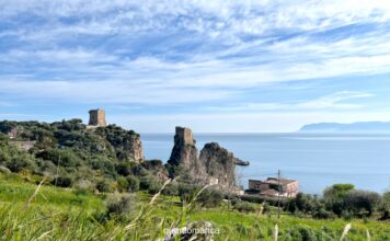 Sicilia occidentale in 3 giorni: itinerario da Trapani con base a Castellammare del Golfo vista della costa mare in sicilia occidentale