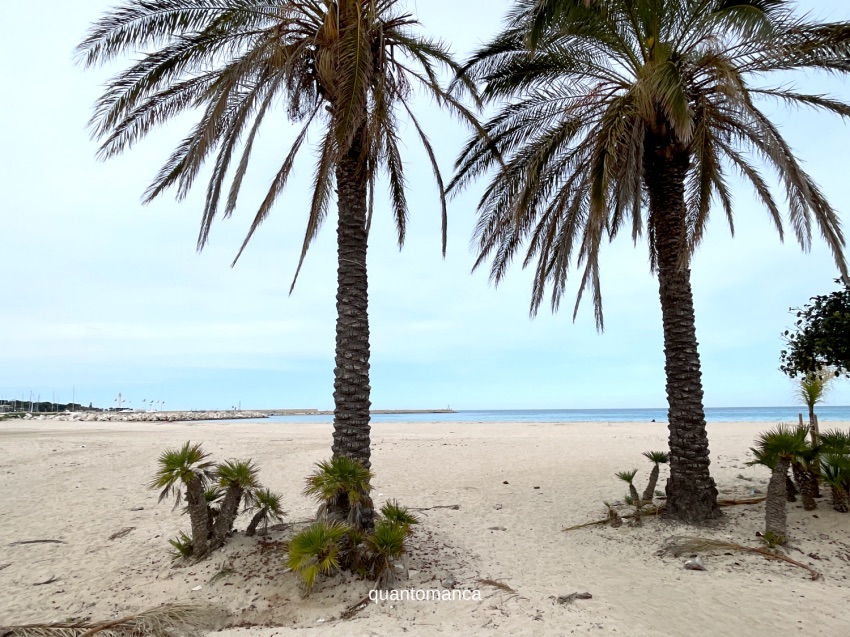 la spiaggia di sabbia bianca di san vito lo capo