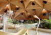 Terme Olimia in Slovenia: ci siamo stati, ecco cosa sapere davvero piscina per bambini con giochi alle terme olinia slovenia